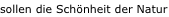 shapeimage_4_link_1