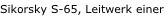 shapeimage_6_link_2