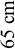 65 cm